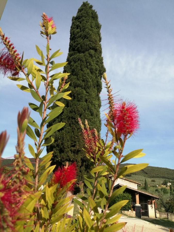 Borgo Buciardella Villa Baschi Kültér fotó