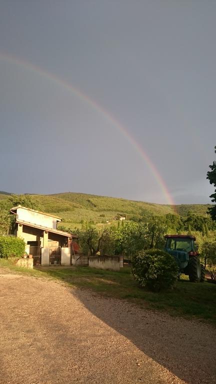Borgo Buciardella Villa Baschi Kültér fotó
