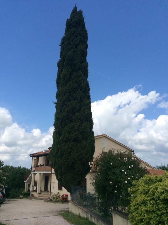 Borgo Buciardella Villa Baschi Kültér fotó