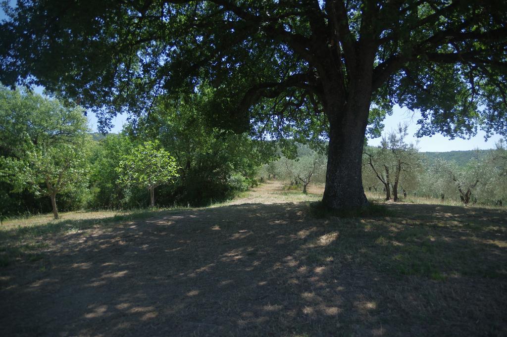 Borgo Buciardella Villa Baschi Kültér fotó