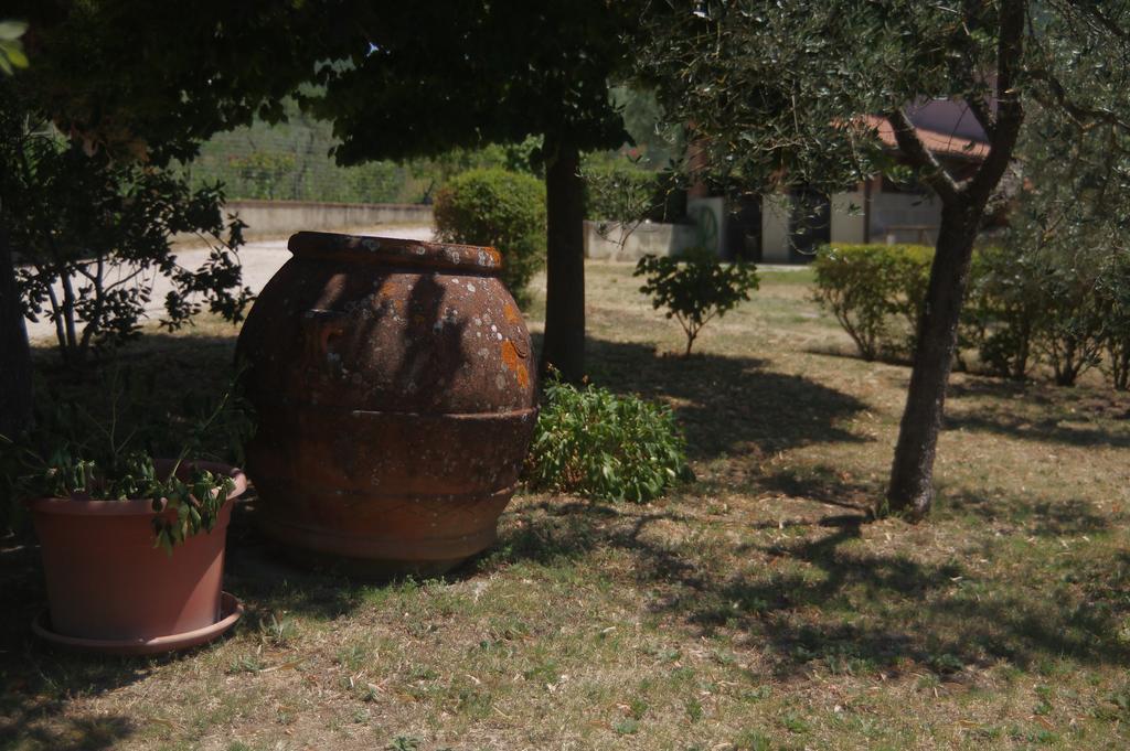 Borgo Buciardella Villa Baschi Kültér fotó