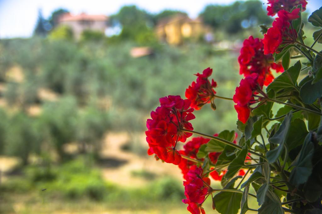 Borgo Buciardella Villa Baschi Kültér fotó